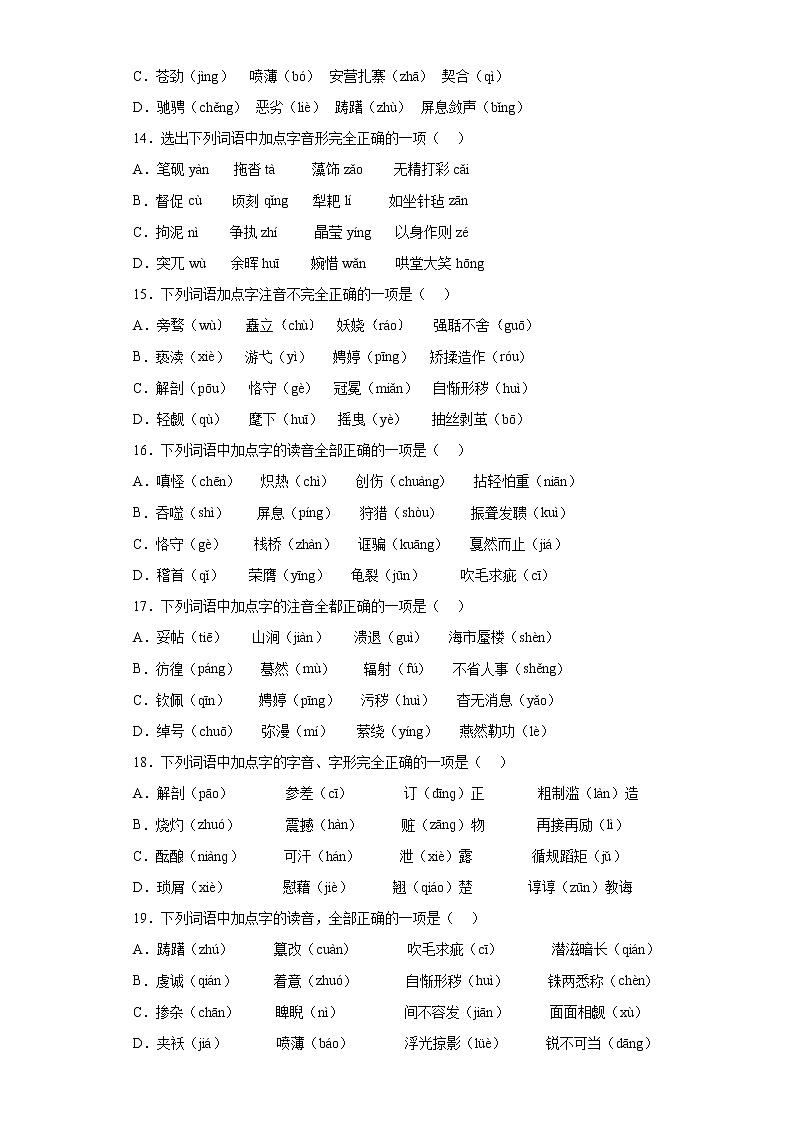 2022年中考语文二轮专题复习：字音字形03