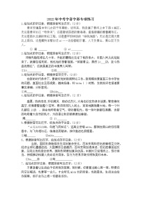 字音字形专项练习+2022年中考语文二轮复习