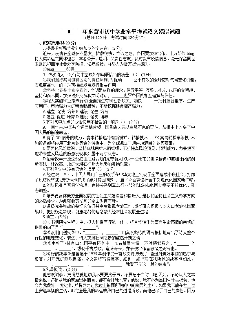 2022年山东省东营市初中学业水平考试语文模拟试题01