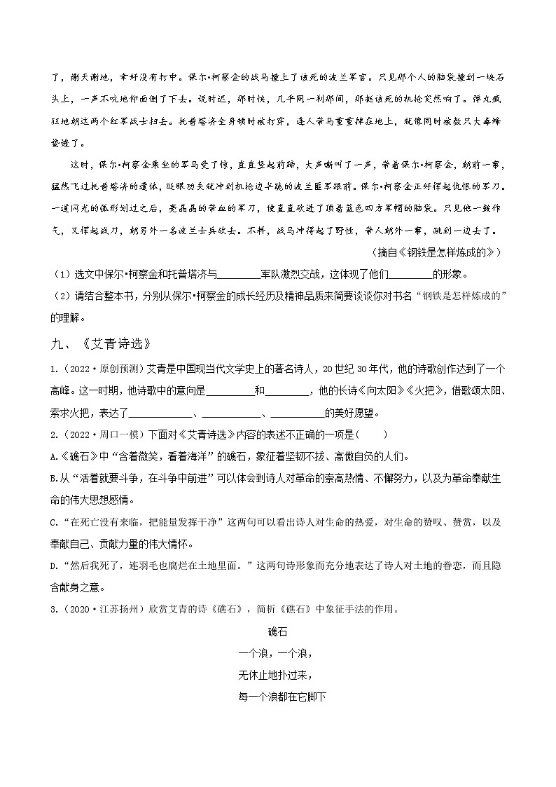 13 名著阅读（二）（原卷版）第3页