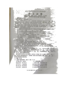 2022年福建省泉州市洛江区初中学业质量检查语文试题