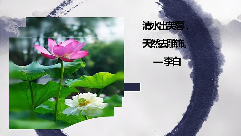 第17课《短文两篇——爱莲说》课件（共19张PPT）2021—2022学年部编版语文七年级下册第1页