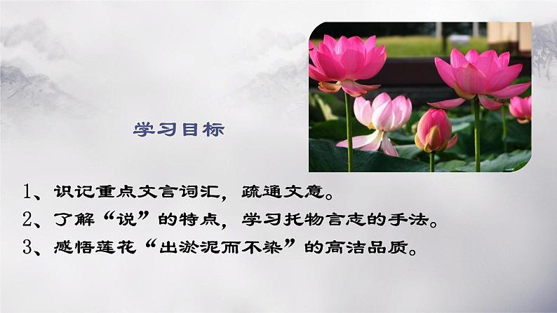 第17课《短文两篇——爱莲说》课件（共19张PPT）2021—2022学年部编版语文七年级下册第4页