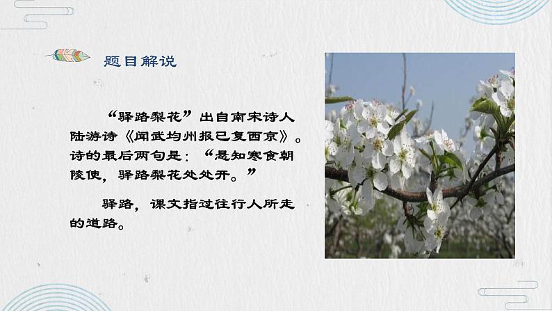 第15课《驿路梨花》课件（共32张PPT）2021—2022学年部编版语文七年级下册第5页