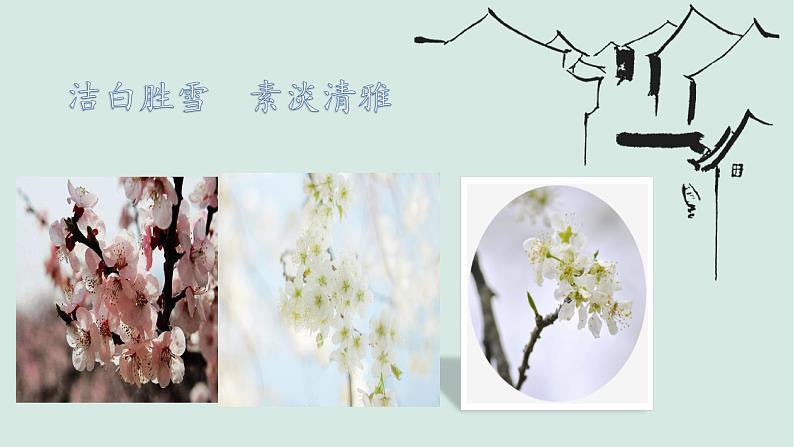 第15课《驿路梨花》课件（共24张PPT）2021—2022学年部编版语文七年级下册第2页