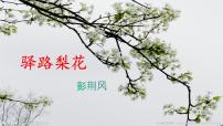 初中语文人教部编版七年级下册第四单元15 驿路梨花图片ppt课件