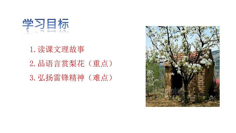 第15课《驿路梨花》课件（共20张PPT）2021—2022学年部编版语文七年级下册第2页