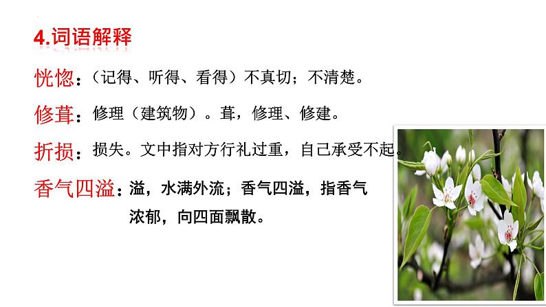 第15课《驿路梨花》课件（共20张PPT）2021—2022学年部编版语文七年级下册第7页