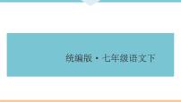 名著专题复习课件（共51页）2021-2022学年部编版语文七年级下册