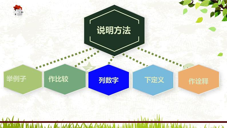 初中语文说明文之说明方法解析课件PPT第3页