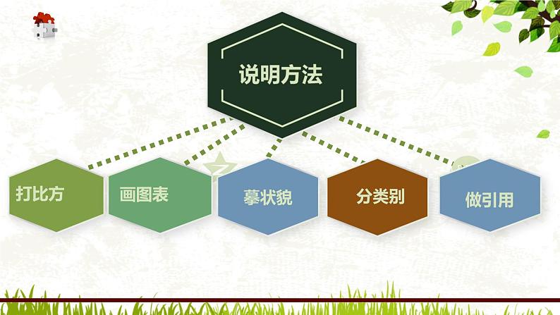 初中语文说明文之说明方法解析课件PPT第4页