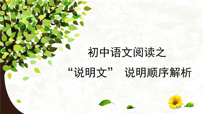 初中语文说明文之说明顺序解析课件PPT01