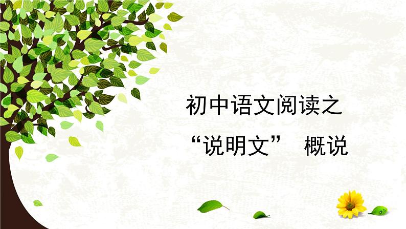 初中语文之说明文知识概说课件PPT第1页