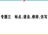 《标点、语法、修辞、仿写》专题练习课件2021-2022学年部编版语文七年级下册