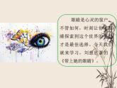 第24课《带上她的眼睛》课件部编版语文七年级下册