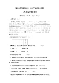 江苏省靖江市实验学校2021---2022学年七年级下学期语文阶段练习（无答案）