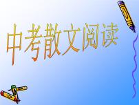 2022年中考语文专项复习-散文阅读复习课件PPT