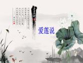 初一年级 语文 《爱莲说》课件PPT