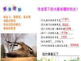 初二年级 语文 大雁归来课件PPT