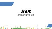 初中语文人教部编版九年级下册6 变色龙评课课件ppt