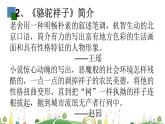 初一年级 语文 《骆驼祥子》导读课件PPT