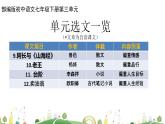 初一年級 語文 七下第三單元復習課課件PPT
