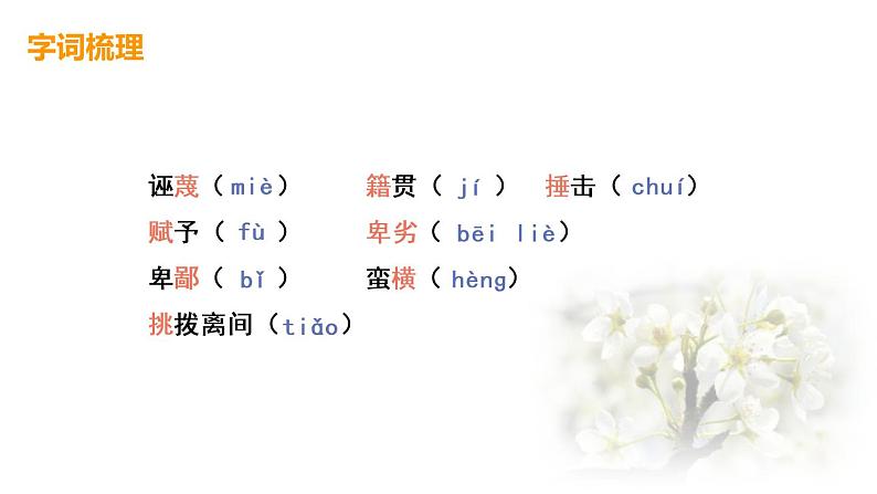 第13课《最后一次讲演》课件(共32张PPT）部编版语文八年级下册第7页