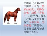 第23课《马说》课件（共51张PPT）部编版语文八年级下册