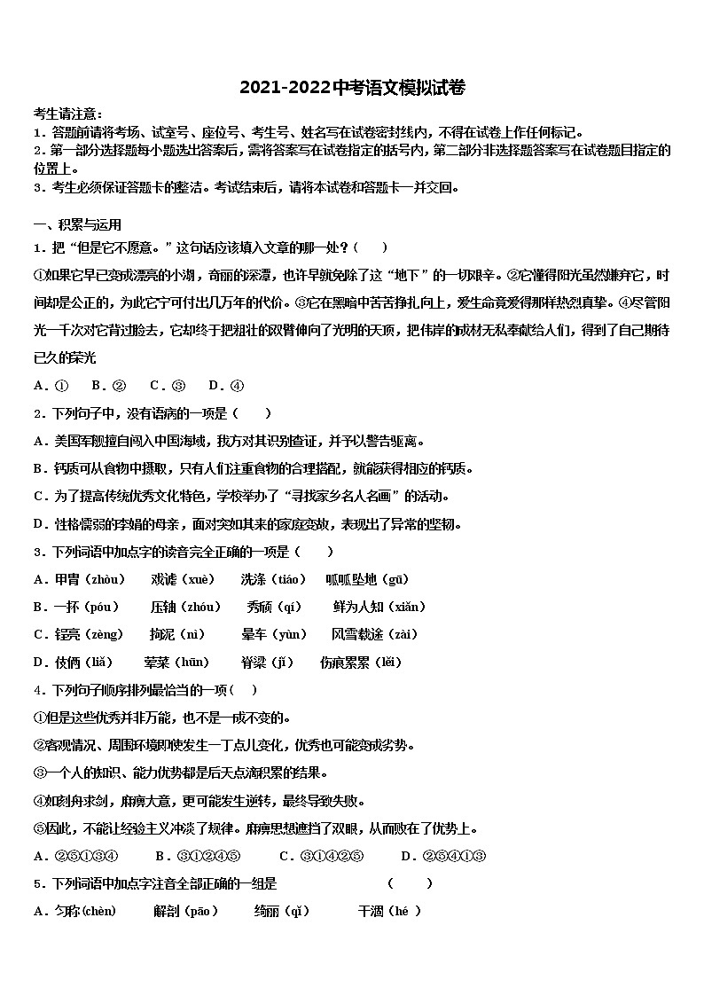 2021-2022学年湖北省武汉市青山区中考语文模拟试题含解析01