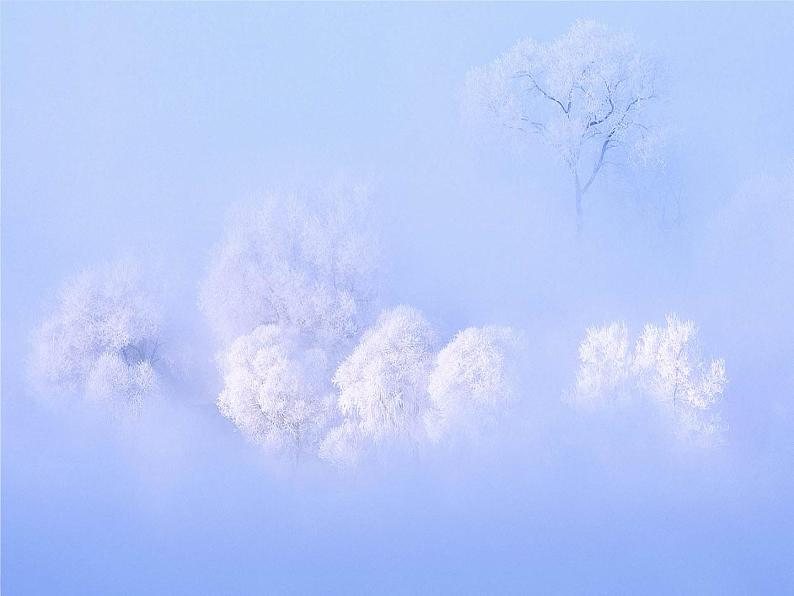 2022年九年级语文上《湖心亭看雪》  市级优质课  课件07