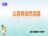 第二单元习作《让真情自然流露》课件（共29张PPT）2021—2022学年部编版（五四学制）语文六年级下册