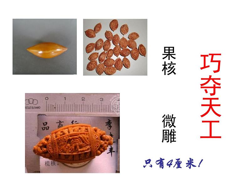 部编版语文 八年级下册第三单元核舟记课件PPT06