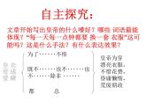 皇帝的新装 (2 )课件PPT