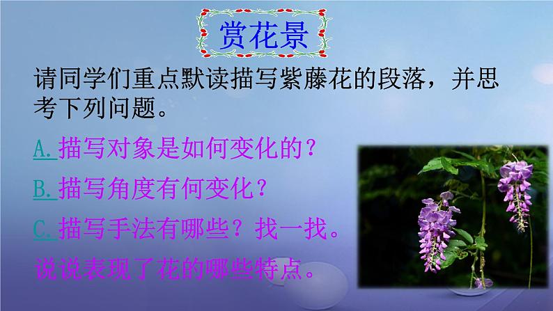 《紫藤萝瀑布》特级课件204