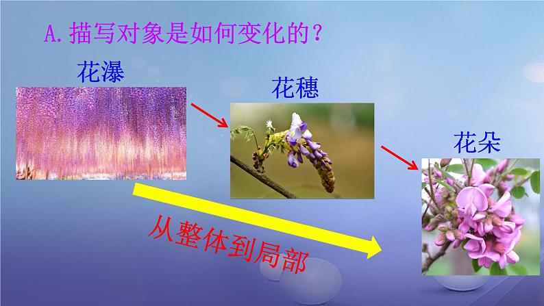 《紫藤萝瀑布》特级课件205