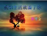 《假如生活欺骗了你》配教案修改后课件PPT