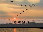 部编版语文八年级下册第二单元大雁归来课件PPT