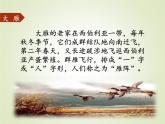 部编版语文八年级下册第二单元大雁归来课件PPT