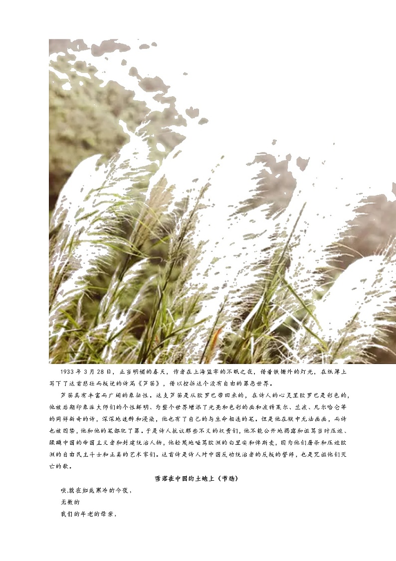 2022年中考语文二轮专题复习：名著导读《艾青诗选》第3页