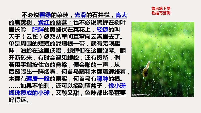 第三讲 俯仰万物观有思-2022年中考作文复习精品课件06