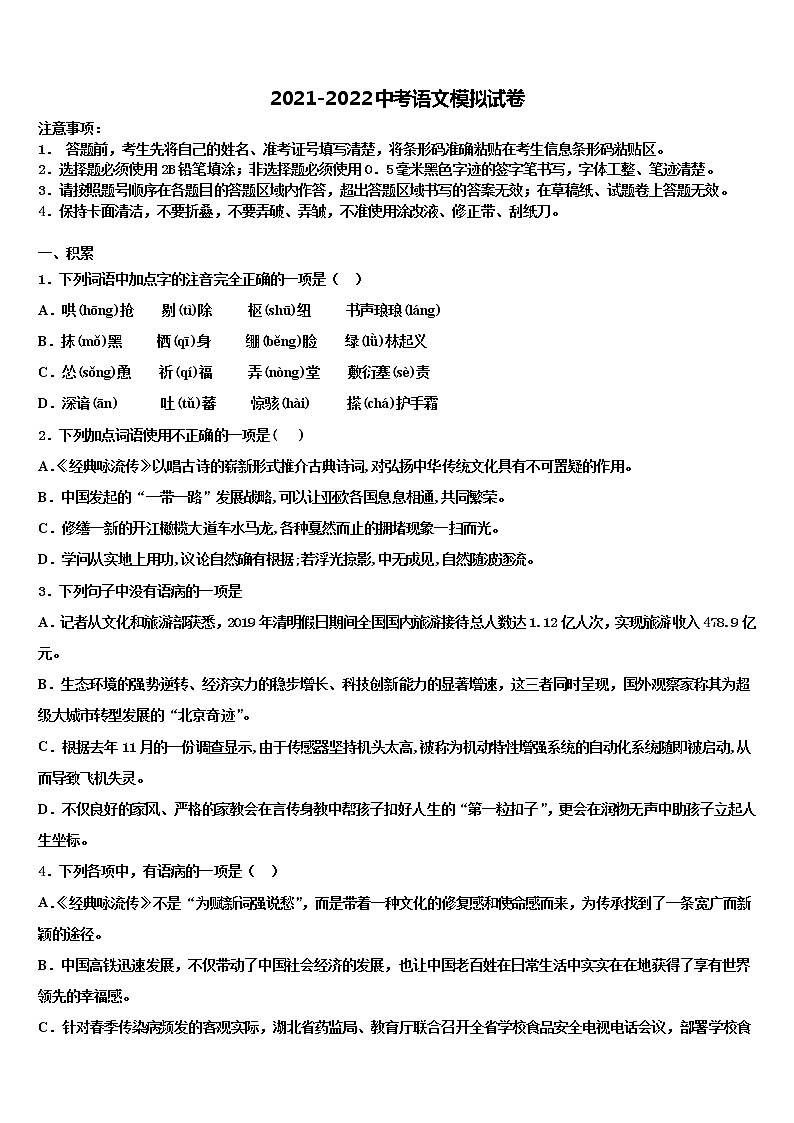 2021-2022学年云南省玉溪地区达标名校中考二模语文试题含解析01