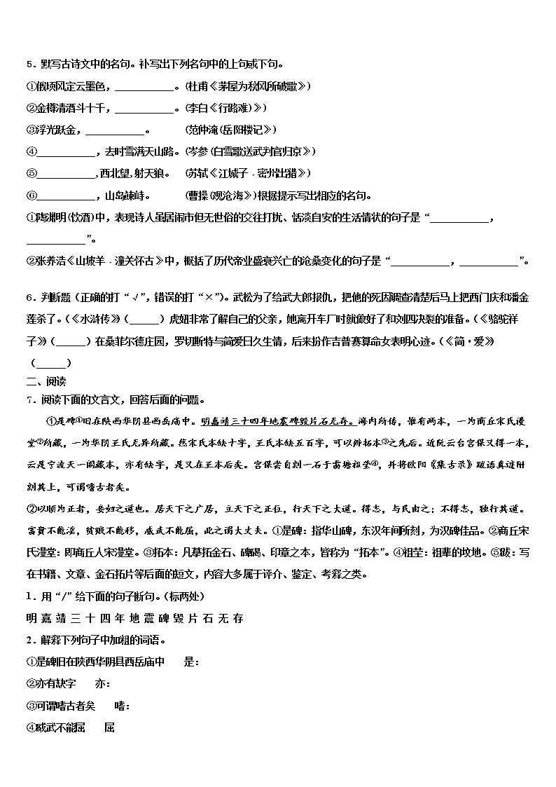2021-2022学年浙江省绍兴市暨阳中考语文五模试卷含解析02