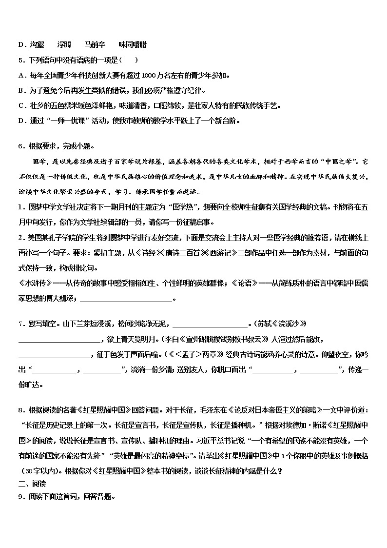 2022年安徽省合肥市庐江县志成学校中考语文模拟精编试卷含解析第2页