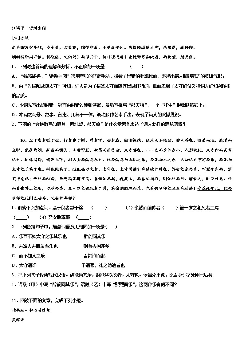 2022年安徽省合肥市庐江县志成学校中考语文模拟精编试卷含解析第3页