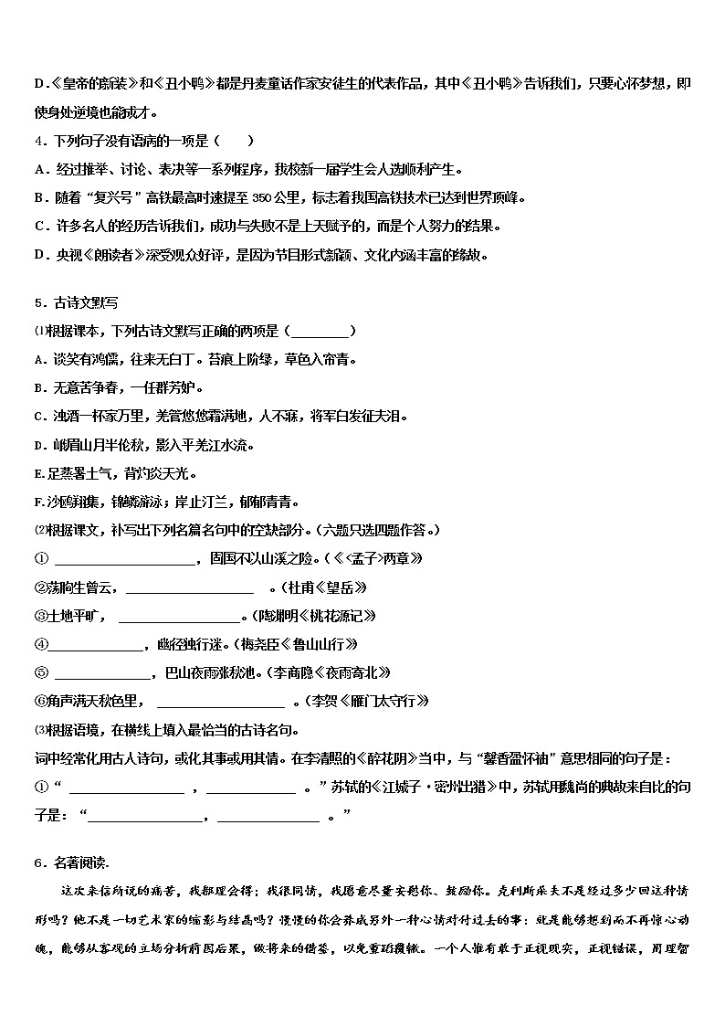 2022年广东省吴川一中学实验校中考语文适应性模拟试题含解析02