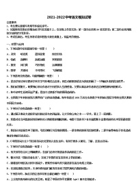 2022届河南省郑州市郑东新区实验校中考语文仿真试卷含解析