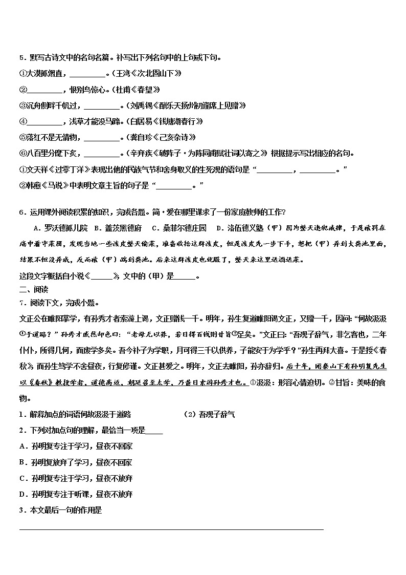 2022届河南省鹤壁市、淇县重点达标名校中考适应性考试语文试题含解析第2页
