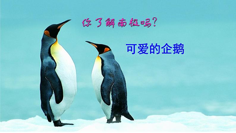 22 伟大的悲剧第2页