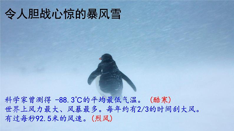 22 伟大的悲剧第5页