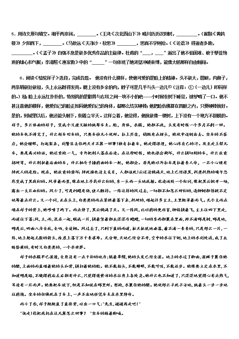 2022届山东省济宁市金乡县重点中学中考语文押题卷含解析02